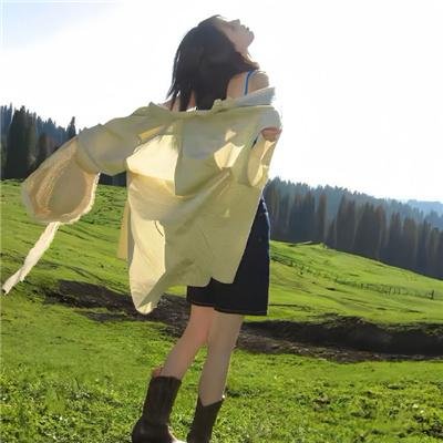 狂野极速:飘移东京 海报